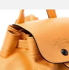 Longchamp | Bags | Nwt Longchamp Le Pliage Xs Cuir Leather  display picture 1